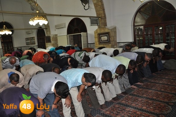 trawe7 7san bek 715 (19).JPG